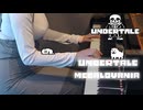 【UNDERTALE】MEGALOVANIA/アンダーテール/メガロバニア/弾いてみた/神曲