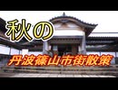 【Voltyで】丹波篠山市街散策【ﾄｺﾄｺﾂｰ】