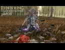 【ELDEN RING Shadow of the Erdtree】発売日から全ボスを倒すまで【実況】 part35