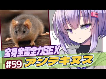 ひとくち動物図鑑#59　アンテキヌス～全身全霊全力SEX～　[VOICEROID解説]