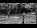 20240924 04:52pm (HPL Binaural)