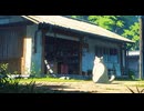 Lo-Fi BGM｜A moment of serenity｜穏やかな瞬間｜BGM