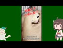 【 #フクロモモンガ 】ベタ慣れの白い子をめっちゃこね回す可愛い姿！【 #おはモモンガ 】