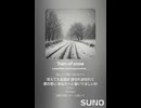 Train of snow