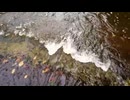 Flowing river water seen from above. 鈴木功三