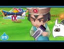 【DQ9＊実況】全力で守るために初見で大冒険！第二十五章