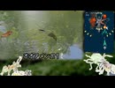 虫詰め合わセットvsSTG