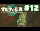 【ぽつぽつ実況 #12】マヨイ【ティアーズオブザキングダム】