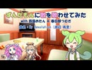 【VOICEVOXカバー】ずんだもんに歌を歌わせてみた -My Revolution（渡辺 美里）-