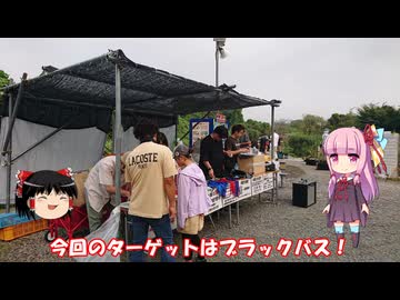 琴葉姉妹と行く釣行記録（釣り堀編part27）