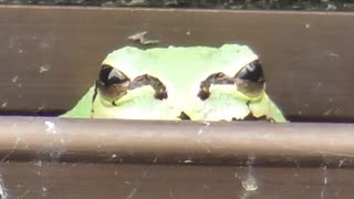 久し振りのいつもの奴ら垂れ流し　21