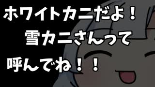 ホワイトカニだよ！　雪カニさんって呼んでね！