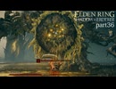 【ELDEN RING Shadow of the Erdtree】発売日から全ボスを倒すまで【実況】 part36
