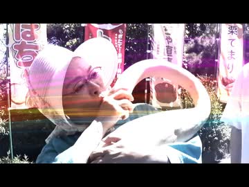 シバタファンタジア