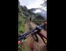 ホモと見る道ですれ違って気まずい思いをする自転車乗りと牛