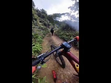 ホモと見る道ですれ違って気まずい思いをする自転車乗りと牛