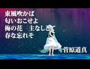 天神様の梅吹雪　featuring　鳴花ヒメ　ミコト　・電飾きのこ　【ボカロカバー曲】