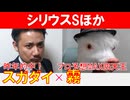 【シリウスS2024】「スガダイ」×プロ予想MAX四天王「霧」の注目馬大公開！