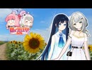 【日帰り旅行祭2024】ひまわりを見に行ったよ