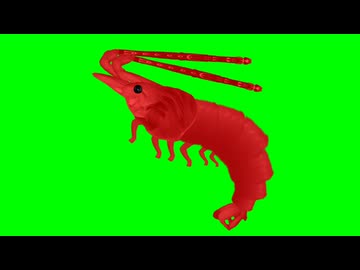 エビ拓也