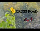 CROSS ROAD 90秒歌ってみた