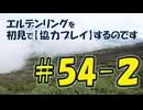 #54-2 エルデンリングを 初見で【協力プレイ】するのです