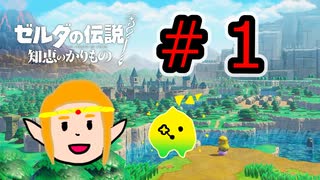 知恵のかりもの＃１【ゼルダの伝説】