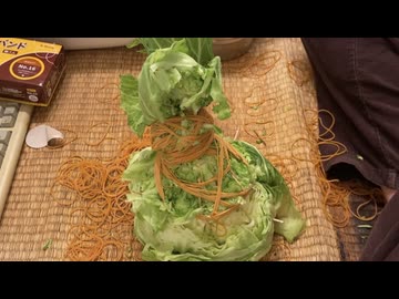 超簡単なロールキャベツ作ってみた（ハイボール）