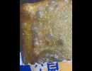 74904696456__A2BDEC53-7DAA-4C82-8855-FDA43724DC14
