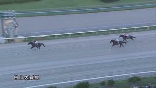 第44回白山大賞典 ディクテオン