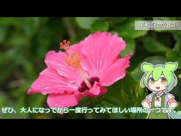 ずんだもんと行く沖縄【VOICEVOX旅行】