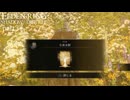 【ELDEN RING Shadow of the Erdtree】発売日から全ボスを倒すまで【実況】 part37