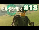 【ぽつぽつ実況 #13】支部【ティアーズオブザキングダム】