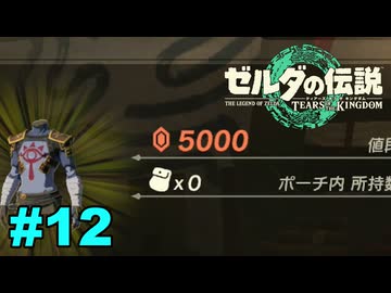 【ゆっくり実況】ティアキンぜんぶやる #12