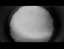 9月28日 米を炊く途中