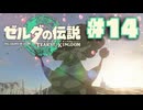 【ぽつぽつ実況 #14】ボックリン【ティアーズオブザキングダム】