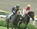 【競馬】[2008年] 新潟ジャンプステークス(J・GIII） ユウタービスケット