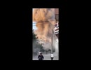 世界の衝撃的映像集Part162