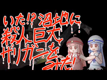 【ELDEN RING】エルデンでリングなダークファンタジーの世界で茜ちゃんが生き抜く　31