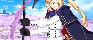 【FGO】戦闘動画。