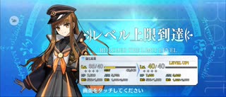 【FGO】岸波白野（レベルアップ）
