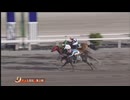 2024年9月23日高知競馬4R ＹＪＳトライアルラウンド高知 第２戦(C3-2組) サーブルミラージュ