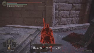エルデンリング TMCターニッシュドメイクライ侵入Part 194