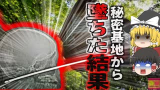【2018年】「あっ！！」庭のツリーハウスで遊んでいた少年 自分で地面に刺していたバーベキュー用の串が顔面を貫通し…【ゆっくり解説】