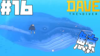 【DAVE THE DIVER】クジラとサンゴとリュウグウノツカイ【ゆっくり実況】16貫目