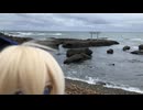 うちの子と散歩？