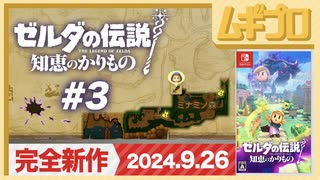ゼルダの伝説 知恵のかりもの #3後編 〜ゲルド砂漠〜【実況】