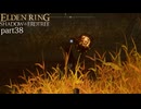 【ELDEN RING Shadow of the Erdtree】発売日から全ボスを倒すまで【実況】 part38