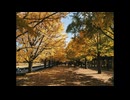 秋風とともに ／ オリジナル曲