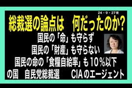 24・9・27夜　国民を話で殺す　政府は要らない。